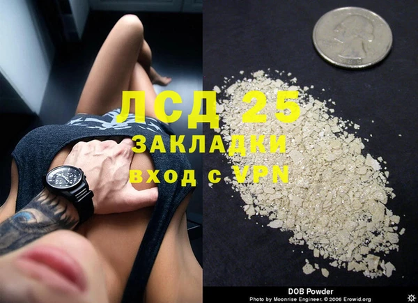 индика Верея