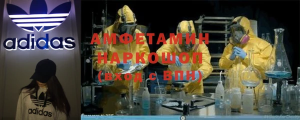 индика Верея