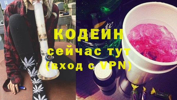 молекула духа Верхний Тагил