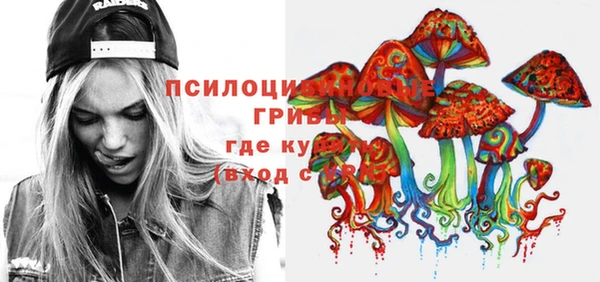 молекула духа Верхний Тагил