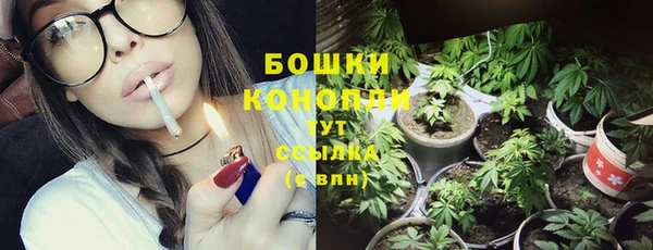 индика Верея