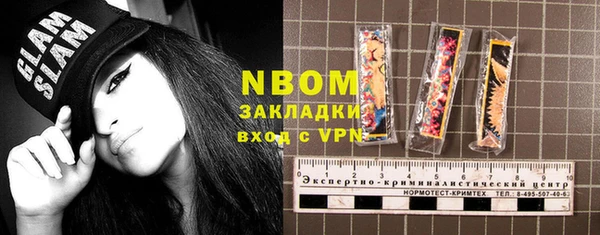 индика Верея