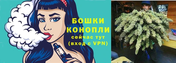 индика Верея