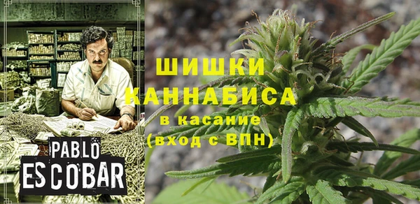 индика Верея