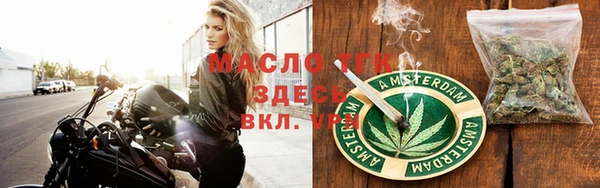индика Верея