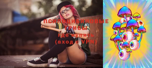 индика Верея
