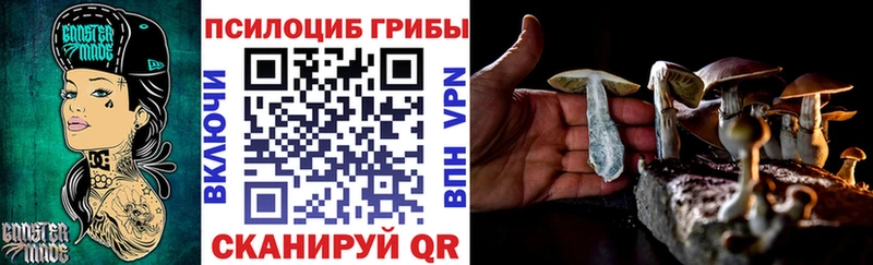 Галлюциногенные грибы GOLDEN TEACHER Купить где Чкаловск